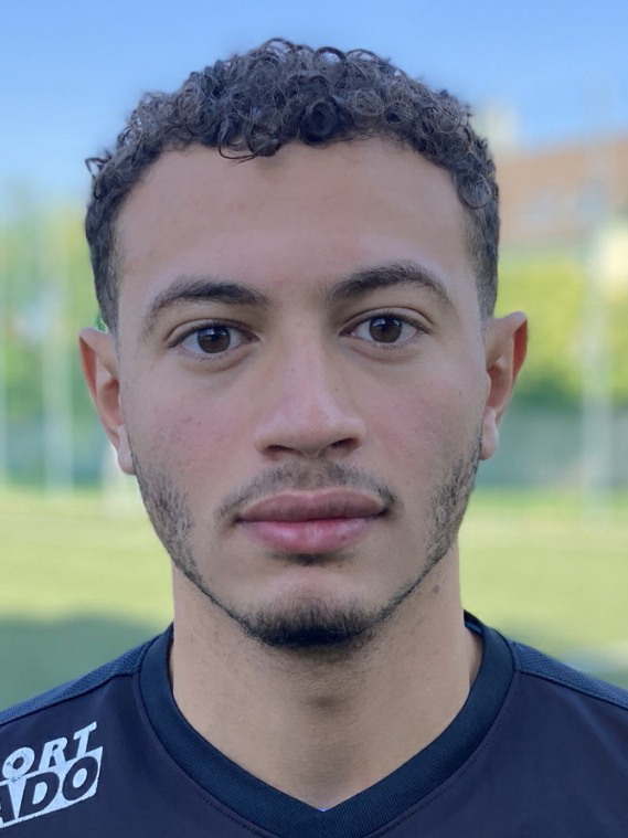 Abou El-Atta_Abdalla(2004)